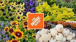 Home Depot Inventory End of September 2023. Fall Planting! Shrubs & Perennials Plant Shopping