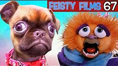New Puppy Try-Not-To-Laugh Challenge! Feisty Films Ep. 67