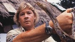 Surfing Snakes | The Crocodile Hunter: Best Of Steve Irwin | Videos | discovery+