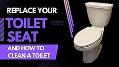 How to Clean a Toilet, Then Replace the Seat