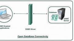 Integration using ODBC Interface
