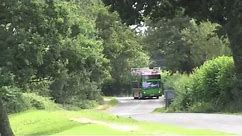 The New Forest Tour - a great day out from London