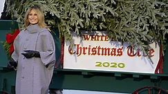 WATCH: Melania Trump celebrates arrival of White House Christmas tree as band plays ‘O Tannenbaum’ - Washington Examiner