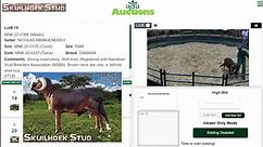Boer Goat & Small Stock Production Auction G Van Wyk & Guest Sellers