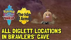 Pokemon Sword & Shield The Isle Of Armor All Diglett Locations In Brawlers' Cave