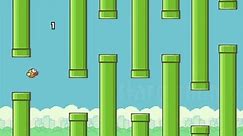Flappy Bird Meets Mario - World Record High Score 999 (The Last Level)