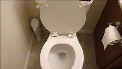 Toilet Won't Flush on First Try Fix