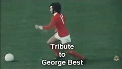 Best of George Best, Goals/Skills (Full Career)