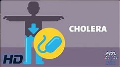 CHOLERA: Everything You Need To Know
