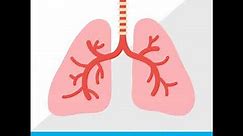 Cases in Severe Asthma Care: The Importance of Early Detection