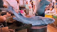 Giant Sea Catfish Cleaning And Cutting By Expert Fish Cutter | Amazing Fish Cutting Skills