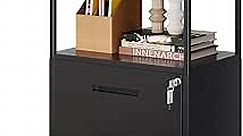 LISSIMO Metal File Cabinet with Lock,2 Drawers Filing Cabinet for Legal/Letter A4 Size,Printer Stand with Storage Shelves for Home Office (Black)