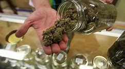 New report finds benefits and risks of marijuana