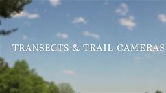 Transects & Trail Cameras - Urban Ecology Research Learning Alliance (U.S. National Park Service)