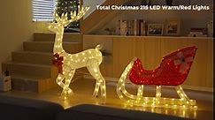 Recaceik Lighted Christmas Reindeer & Santa's Sleigh, 4FT Large Outdoor Christmas Decorations w/205 Warm Light for Front Yard/Porch/Lawn/Indoor, Extension Cord, Plug, Ground Stakes, Gold