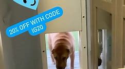 Suki, a rescued Shar-pei goes through her Power Pet Door. She learned to go through with no training! This is a large PX-2 model. Take 20% off with code IG20 at www.hitecpet.com #sharpei #dogmom #petdoor #petdoors #diypet #interiordesign #homedecor #automaticdogdoor #catdoor | High Tech Pet Products