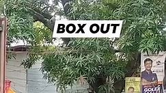BOX OUT #basketball #viral | Carlo Oro