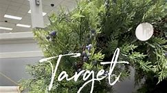 Target Holiday Finds 🖤🌲 #targetfinds #holidaydecor #targetholiday | Kristin Sayers Home