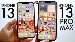 iPhone 13 Vs iPhone 13 Pro Max In 2023! (Comparison) (Review)