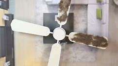 Best Way To Clean Ceiling Fan is With A Pillow Case | Zillow