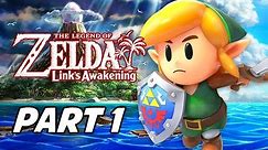 The Legend of Zelda Link's Awakening Walkthrough Gameplay Part 1 - Full Game Intro (Nintendo Switch)