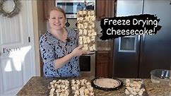 Freeze Drying Cheese Cake and Storing It