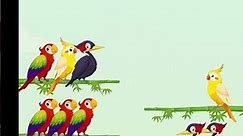 bird cartoon video #cartoon