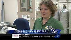 Feeding the Omaha zoo