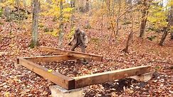 Building a Square Off Grid Log Cabin part 1 #build #building #bushcraft #bushman #buildingahouse #builder #shelter #outdoors #outdoor #survival #trending #viralvideo