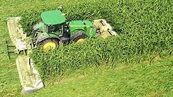 Mowing Sorghum Sudan Grass near Payne Ohio