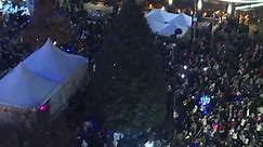 WLWT - WATCH: Cincinnati's Fountain Square Christmas tree...