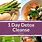 1 Day Detox Cleanse