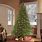 10 Foot Christmas Trees Artificial