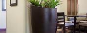42 Inch Tall Outdoor Planters