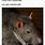 A Rat Meme