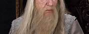 A Wizard with Long White Hair Harry Potter