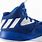 Adidas Blue Basketball Shoes