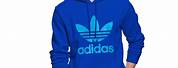 Adidas Men Sweater Blue