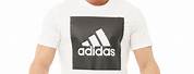 Adidas Shirt Box Logo