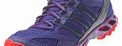 Adidas Trail Running Shoes Purple