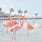 Aesthetic Flamingo Wallpaper