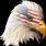 American Flag with Eagle Head