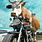 Animals On Motorcycles