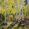 Aspen Tree Paintings