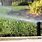 Automatic Lawn Sprinkler Systems