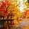 Autumn Wallpaper for Windows 10 HD