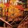 Autumn Wallpaper for iPhone