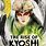 Avatar Kyoshi Book