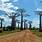 Avenue De Baobabs Madagascar