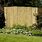 Bamboo Fencing 6Ft